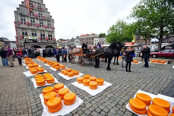 Dwellworks Global Mobility - Netherlands Food - Cheese
