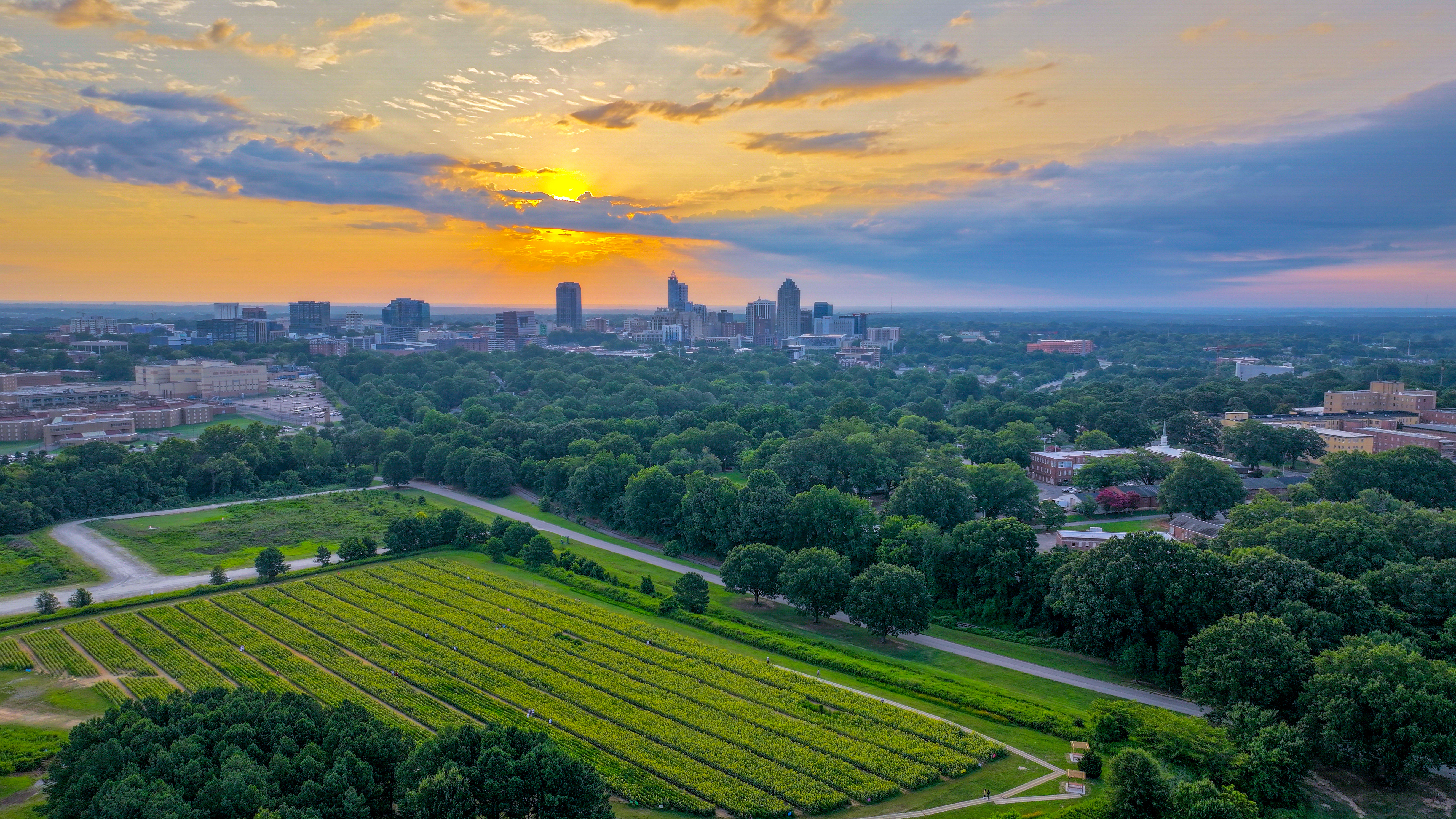 Dwellworks - Destination Services - Raleigh Skyline, Wendell NC