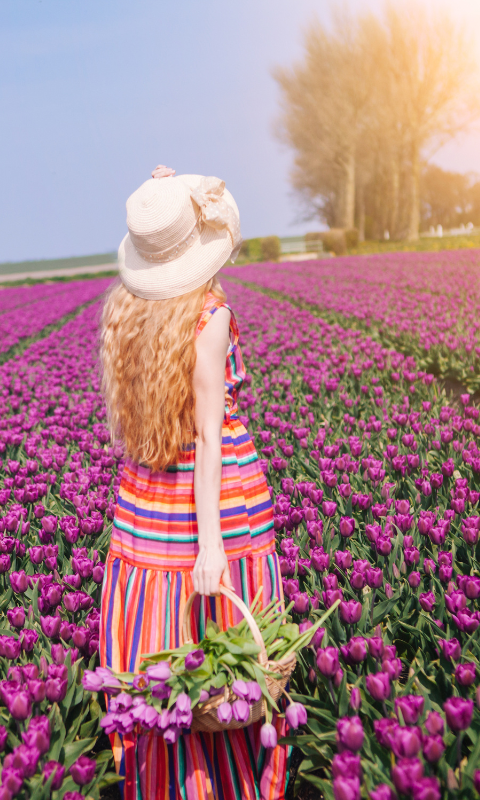 Dwellworks - Destination Services Provider - Netherlands